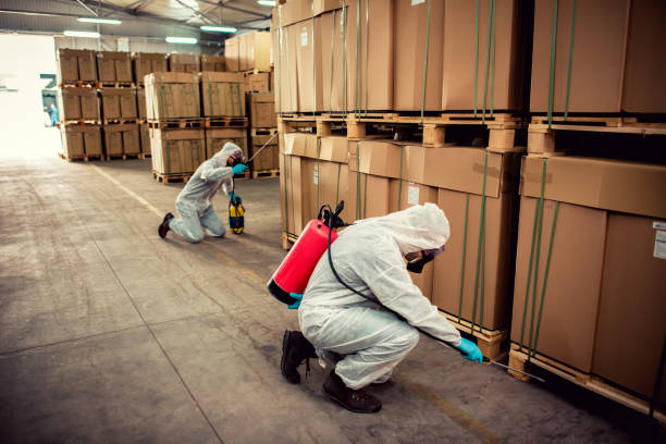 Best Best Pest Control Companies  in Marksville, LA
