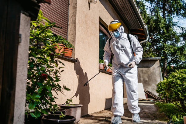 Best Flea Control Services  in Marksville, LA