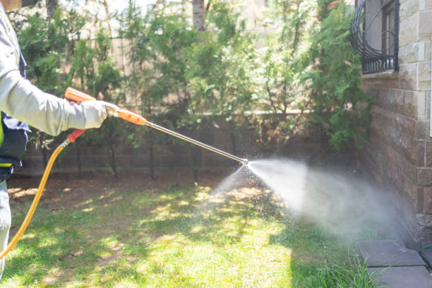 Reliable Marksville, LA Pest Control Solutions