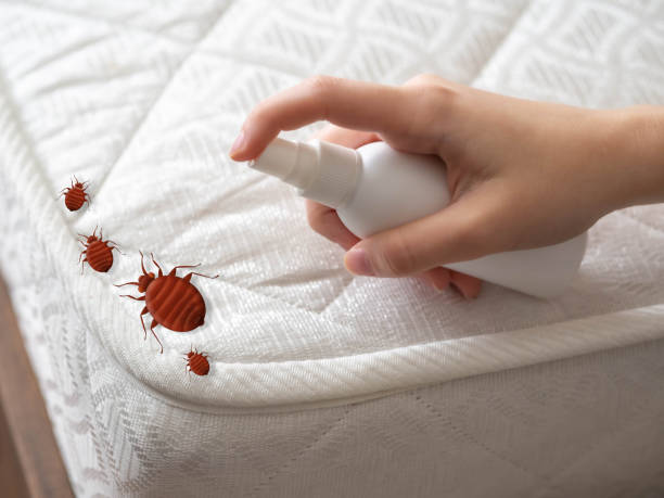 Best Residential Pest Control  in Marksville, LA