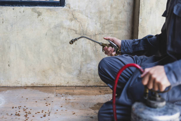 Best Affordable Exterminators  in Marksville, LA