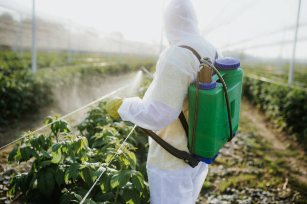 Best Insect Control  in Marksville, LA
